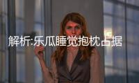 解析:樂瓜睡覺抱枕占據top1的熱銷密碼