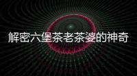 解密六堡茶老茶婆的神奇功效，帶你領略健康生活的秘密