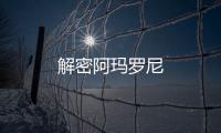 解密阿瑪羅尼