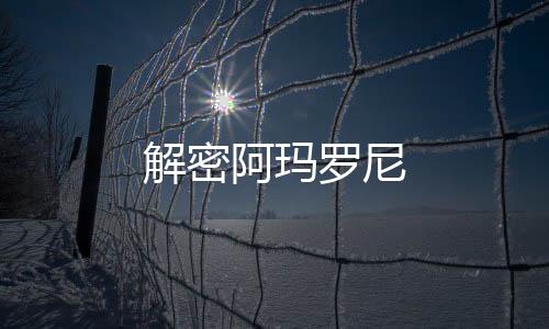 解密阿瑪羅尼
