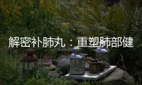 解密補肺丸：重塑肺部健康，讓呼吸更暢快！