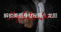 解鎖美麗身材秘籍！龍膽草，燃脂排毒雙效功夫讓你瞬間變身