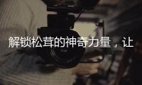 解鎖松茸的神奇力量，讓你擁有健康養(yǎng)顏的秘密