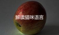 解讀貓咪語(yǔ)言