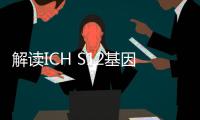 解讀ICH S12基因治療產(chǎn)品的非臨床生物分布考慮