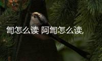 訇怎么讀 阿訇怎么讀,什么意思
