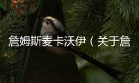 詹姆斯麥卡沃伊（關(guān)于詹姆斯麥卡沃伊的基本情況說(shuō)明介紹）