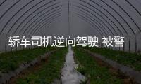 轎車司機逆向駕駛 被警方處罰
