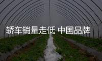 轎車銷量走低 中國品牌缺乏市場號召力