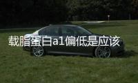 載脂蛋白a1偏低是應該如何回事