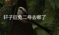 軒子巨兔二號去哪了   軒子巨兔二號變了一個(gè)身份出道了