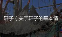 軒子（關于軒子的基本情況說明介紹）