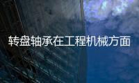 轉(zhuǎn)盤軸承在工程機械方面的應(yīng)用