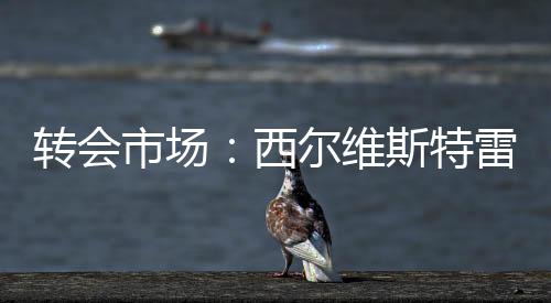 轉會市場：西爾維斯特雷加盟AC米蘭