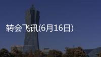 轉會飛訊(6月16日)：蘇亞雷斯澄清謠言
