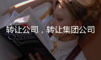 轉讓公司，轉讓集團公司