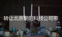 轉(zhuǎn)讓北京朝陽科技公司帶有車指標