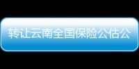 轉(zhuǎn)讓云南全國(guó)保險(xiǎn)公估公司 云南保險(xiǎn)公估公司轉(zhuǎn)讓