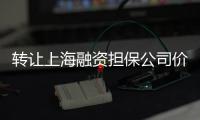 轉讓上海融資擔保公司價格一覽