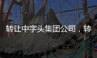 轉讓中字頭集團公司，轉讓集團公司