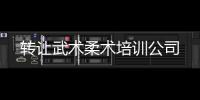 轉讓武術柔術培訓公司