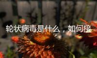 輪狀病毒是什么，如何接種輪狀病毒疫苗