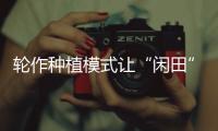 輪作種植模式讓“閑田”變“忙田” 農民增產又增收