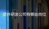 軟件研發(fā)公司有哪些崗位和科技公司軟件研發(fā)項目的詳細介紹