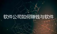 軟件公司如何賺錢與軟件科技公司怎么賺錢的原因