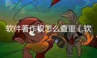 軟件著作權(quán)怎么查重（軟件著作權(quán)怎么申報）