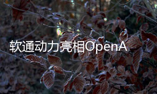軟通動(dòng)力亮相OpenAtom OpenHarmony分論壇
