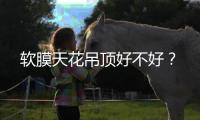 軟膜天花吊頂好不好？