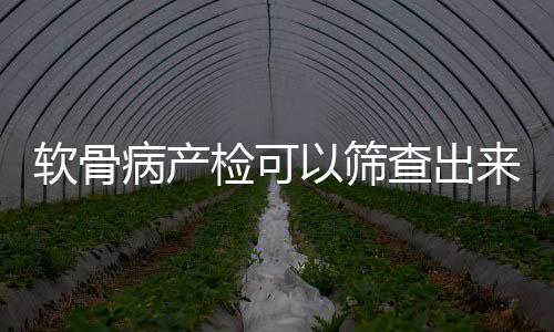 軟骨病產檢可以篩查出來的嗎?（軟骨病）