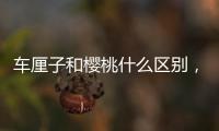 車厘子和櫻桃什么區別，車厘子和櫻桃是同一種水果嗎