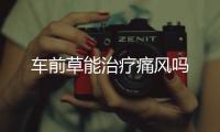 車前草能治療痛風嗎