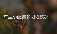 車型小配置多 小螞蟻20萬蟻粉款實拍