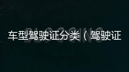 車型駕駛證分類（駕駛證分類）