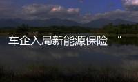 車企入局新能源保險 “代理”直指后市場