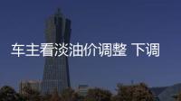 車主看淡油價調整 下調幅度還沒之前油站優惠大