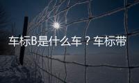 車標(biāo)B是什么車？車標(biāo)帶B的是什么車