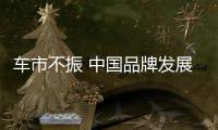 車市不振 中國品牌發展之路何去何從？