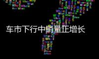 車市下行中銷量正增長 嘉悅X4靠的是什么？