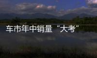 車市年中銷量“大考” 自主品牌八成不達(dá)標(biāo)？