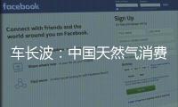 車長波：中國天然氣消費將和石油“二分天下”