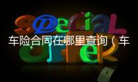 車險(xiǎn)合同在哪里查詢（車險(xiǎn)合同）
