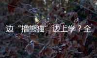 邊“擼熊貓”邊上學？全國首個大熊貓學院正式招生啦