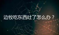 邊牧吃東西吐了怎么辦？邊牧進(jìn)食后嘔吐是什么原因