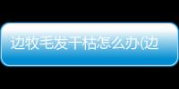邊牧毛發干枯怎么辦(邊牧幼犬一直叫怎么辦)