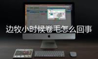 邊牧小時候卷毛怎么回事(邊牧毛短怎么回事)