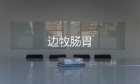 邊牧腸胃